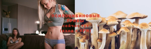 mix Богородск